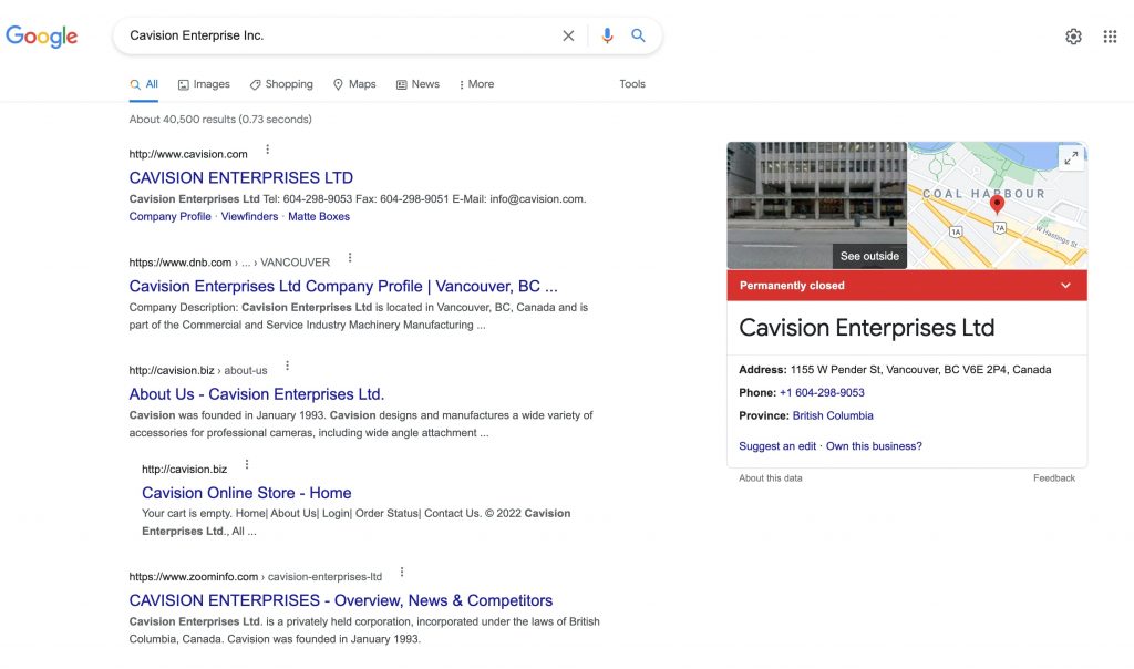 Cavision Google results